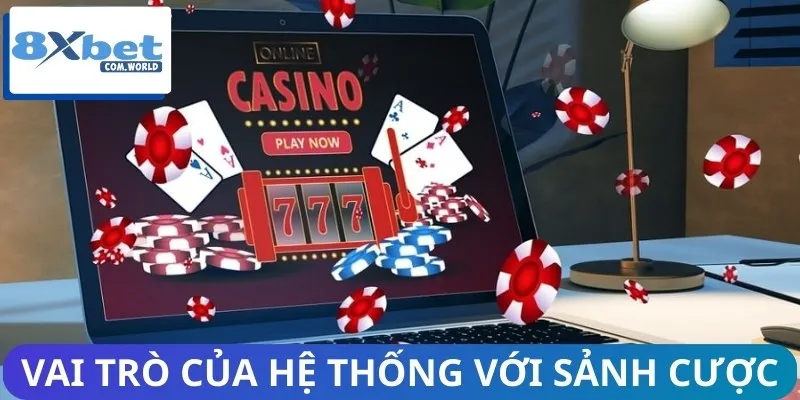 Newbie cần hiểu rõ vai trò của hệ thống với sảnh cược